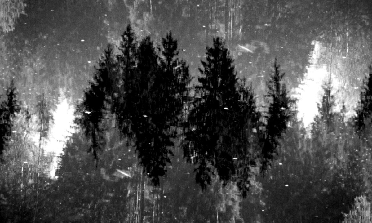 Am_Waldteich_3.jpg