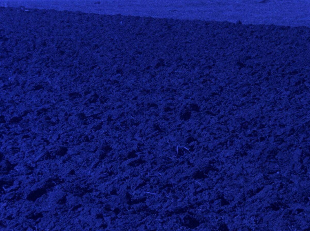 Still2_blue_1_4_1.jpg